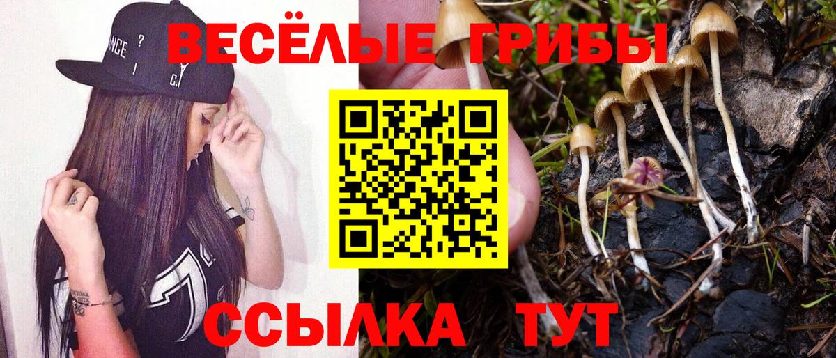 Галлюциногенные грибы мухоморы Великий Устюг
